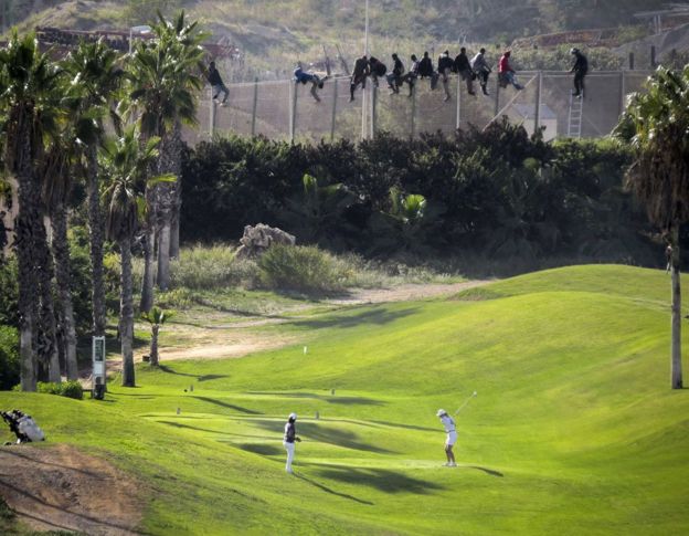 _85363863_golf_reu976