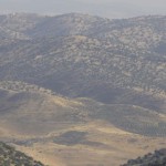 syria1